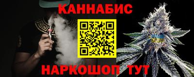 индика Можайск