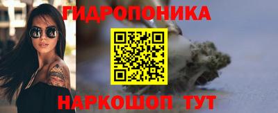 индика Можайск