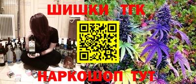 индика Можайск