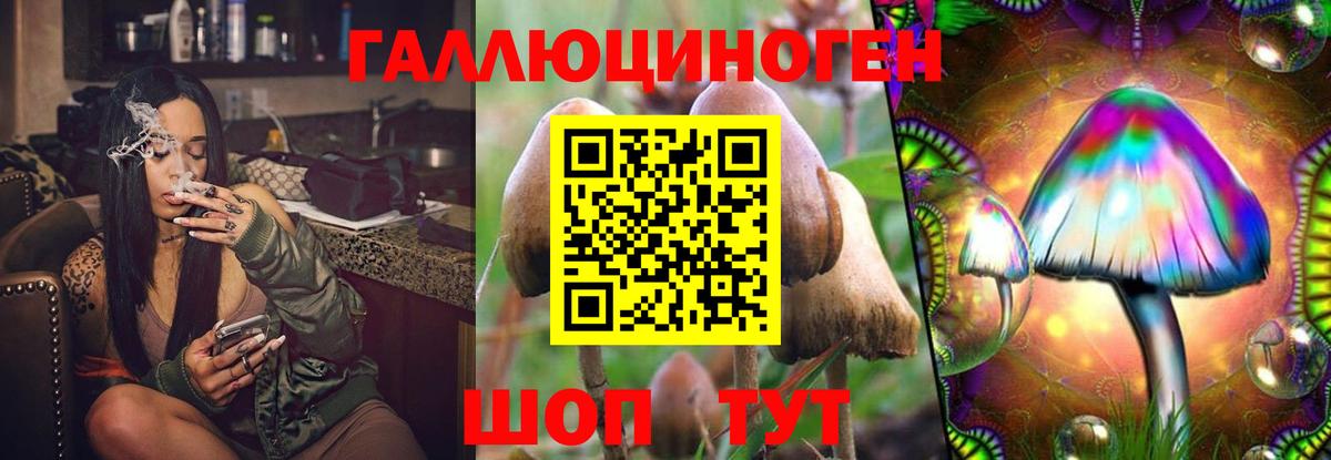 Псилоцибиновые грибы Cubensis Великий Устюг