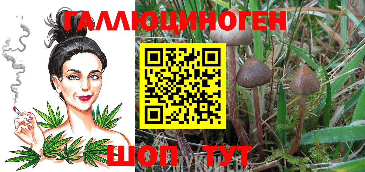Великий Устюг  купить   Вход с VPN  Галлюциногенные грибы Psilocybine cubensis 